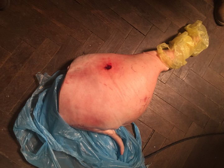 1890 - Operácia Černého